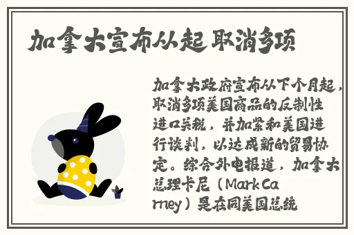 妈妈装松紧腰半身裙裙摆视频